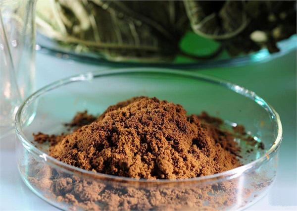 Diamonds in the Forest – Chaga