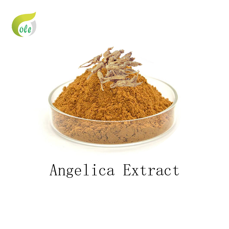 Angelica Extract