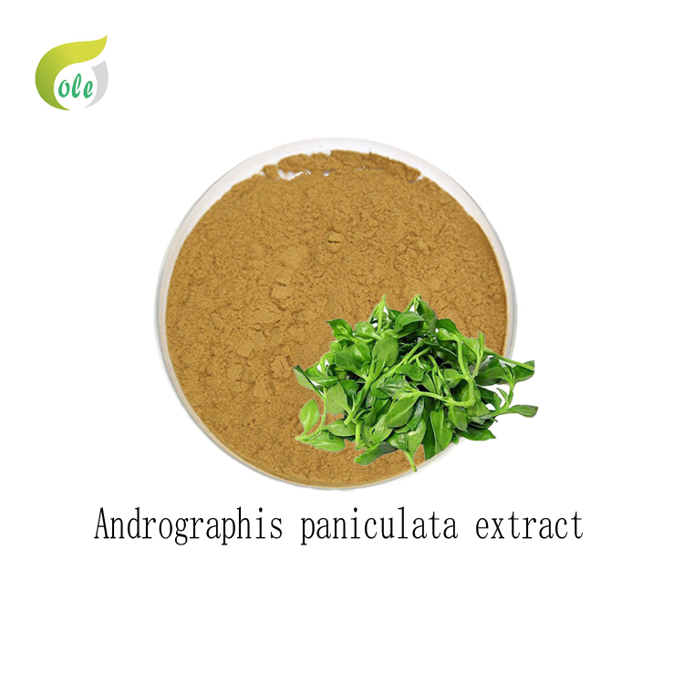 Andrographis paniculata extract