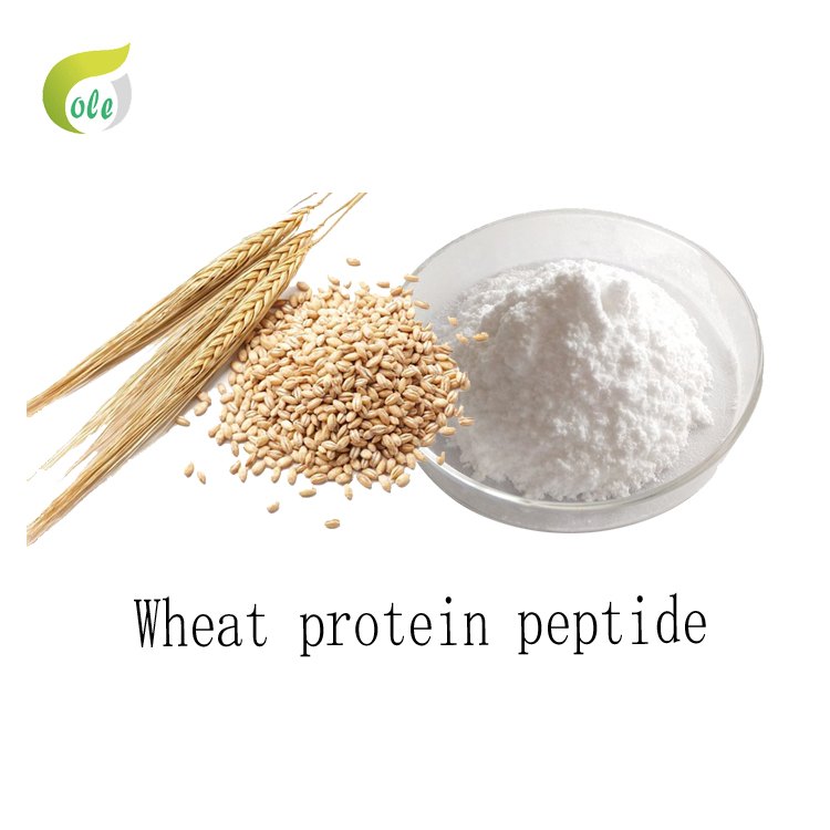 Natural Wheat protein peptide powder