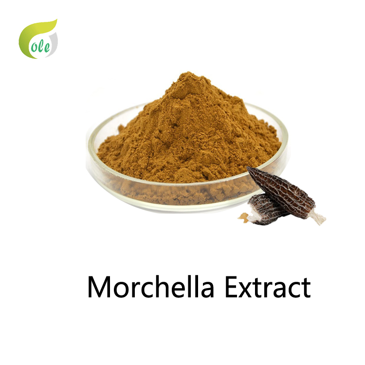 Wound Repair  Morchella Extract