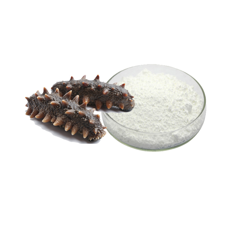 Sea cucumber protein peptide