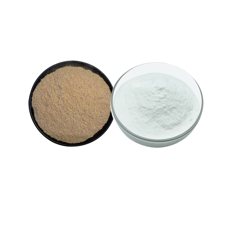 Best Rice bran protein powder