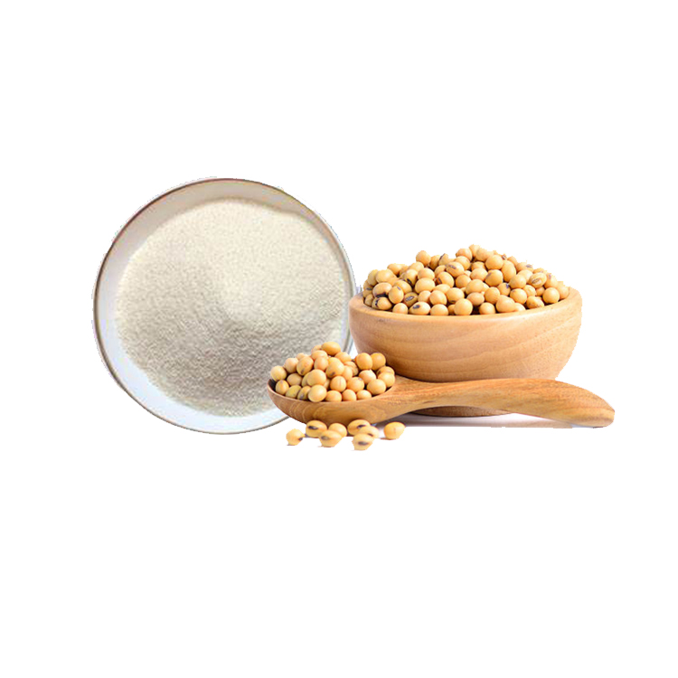 Top quality Soy protein