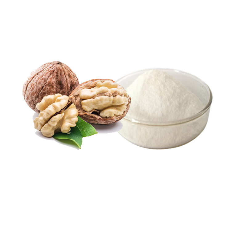 Health care Walnut protein