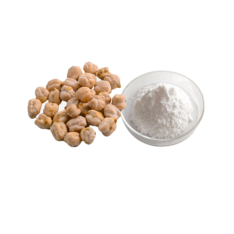 The best Chickpea protein powder