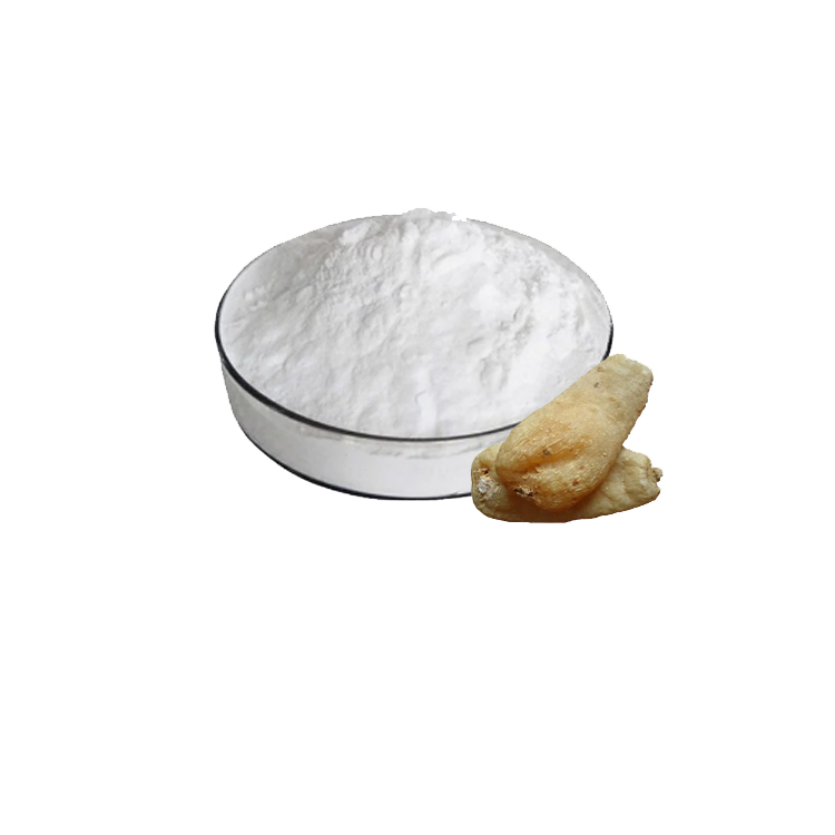 Factory supply Gastrodin powder