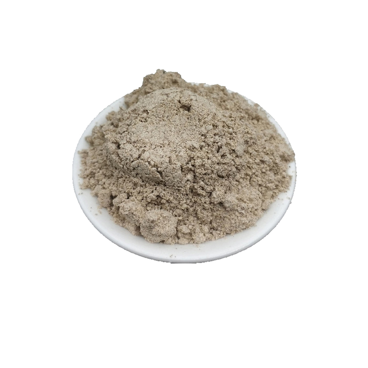 High quality Spine Date Seed powder