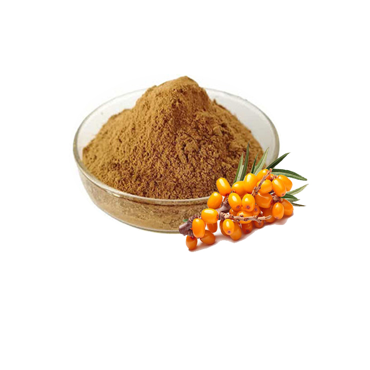 Factory sell Seabuckthorn flavone