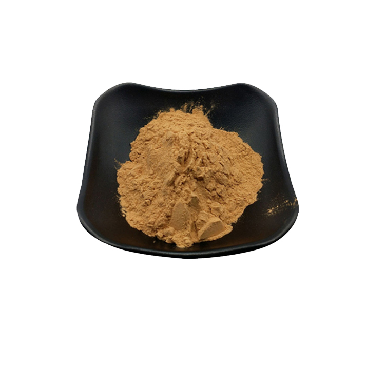 Pure natural Rhubarb Extract