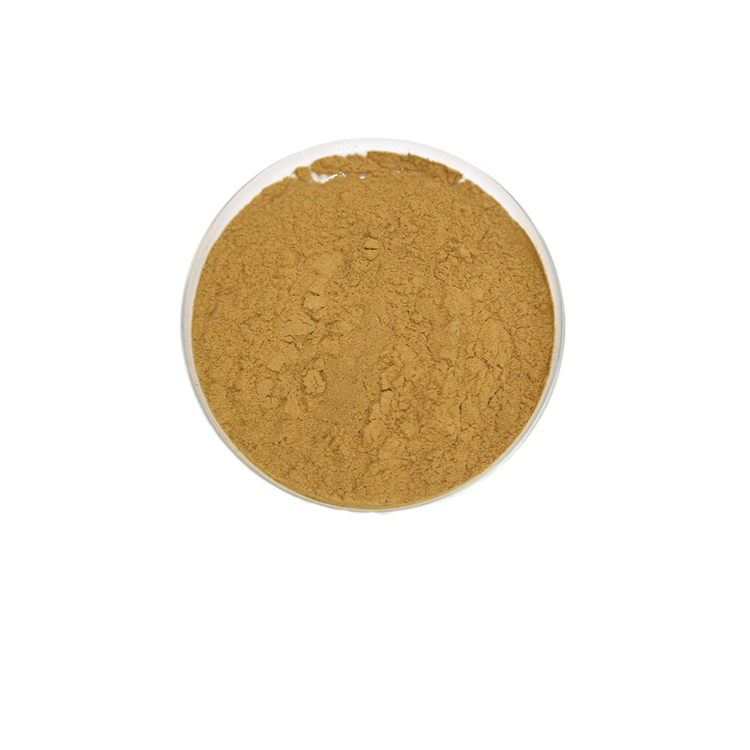 Factory supply Catechin powder 20%