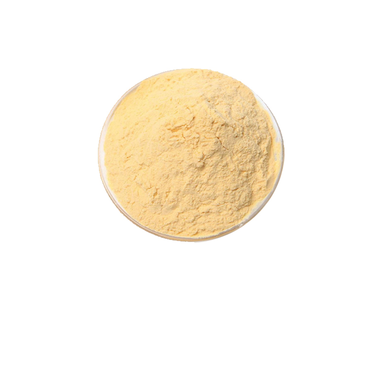 100% natural Papaya fruit powder 0 additive