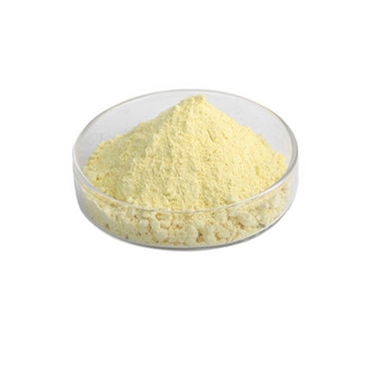 100% natural Pineapple juice powder