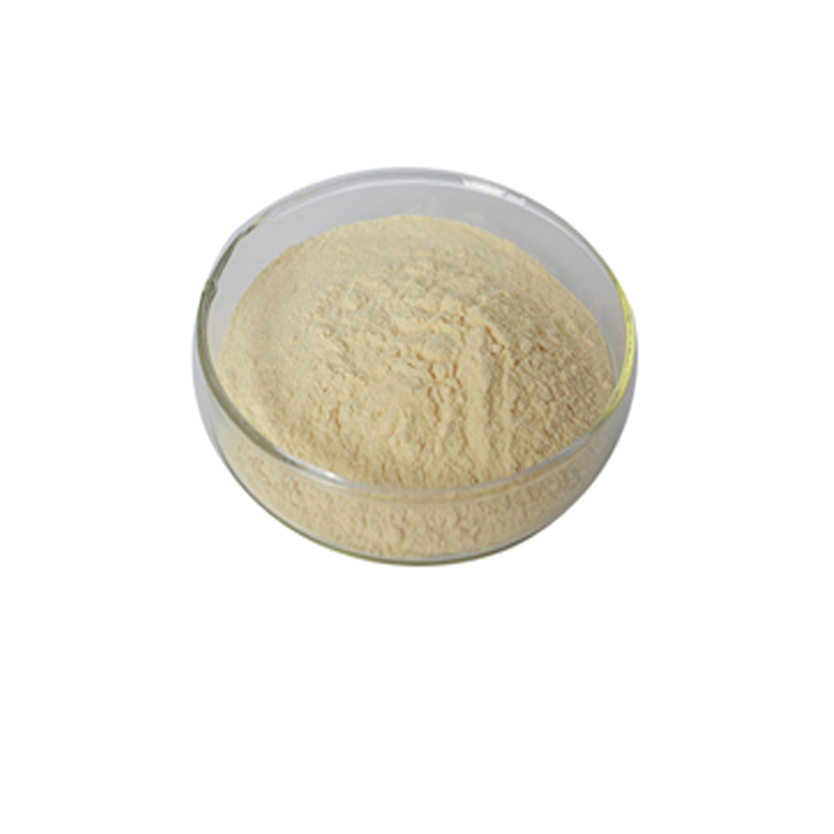 100% natural Mango fruit powder