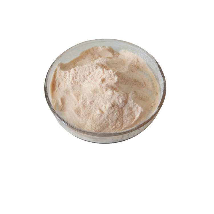 100% natural Apple Juice powder
