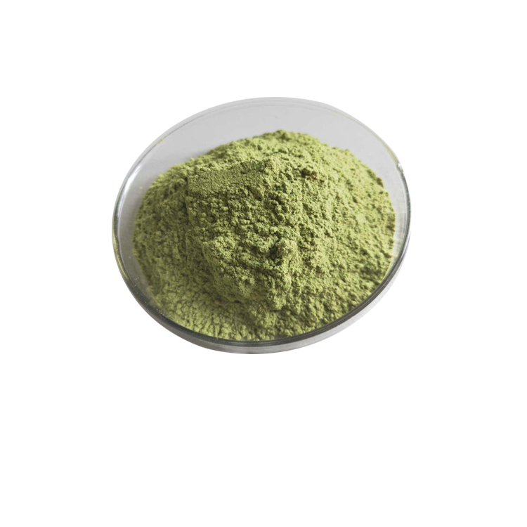 Factory sell Barley grass powder