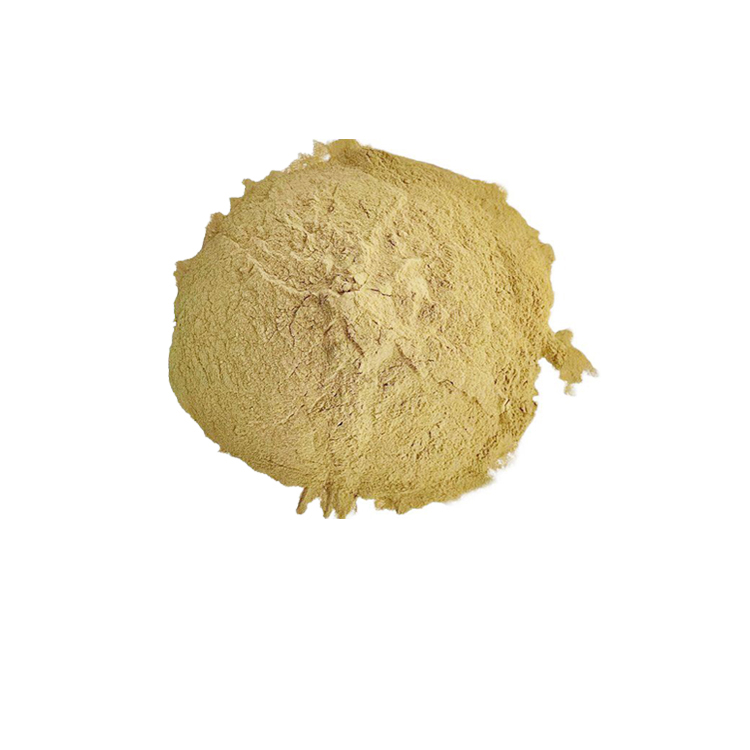 Best Squid Liver Powder