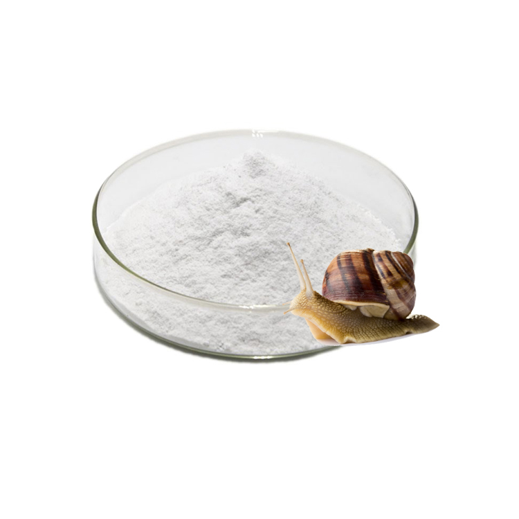 Best Snail slime extract powder