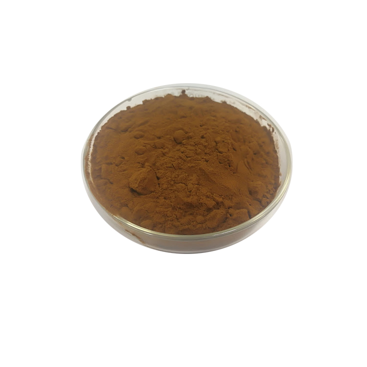 Siberia Chaga extract powder