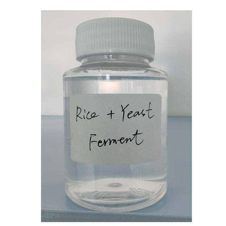 Rice Yeast Ferment