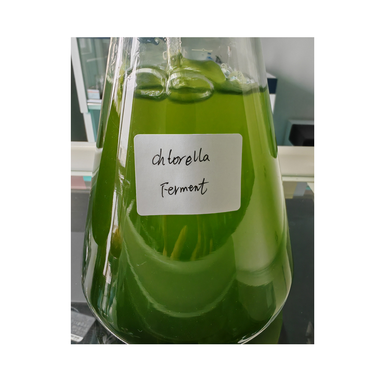 Chlorella Extracellular Vesicles