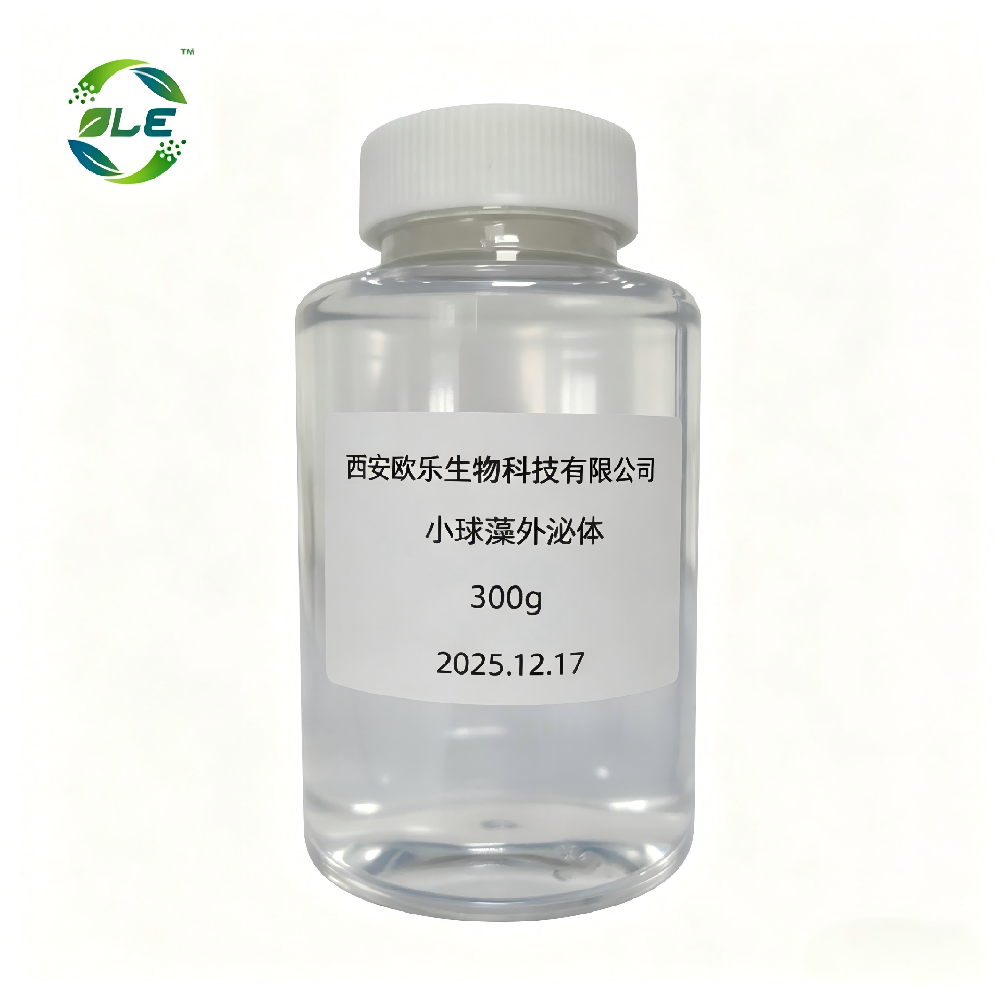 Chlorella Extracellular Vesicles